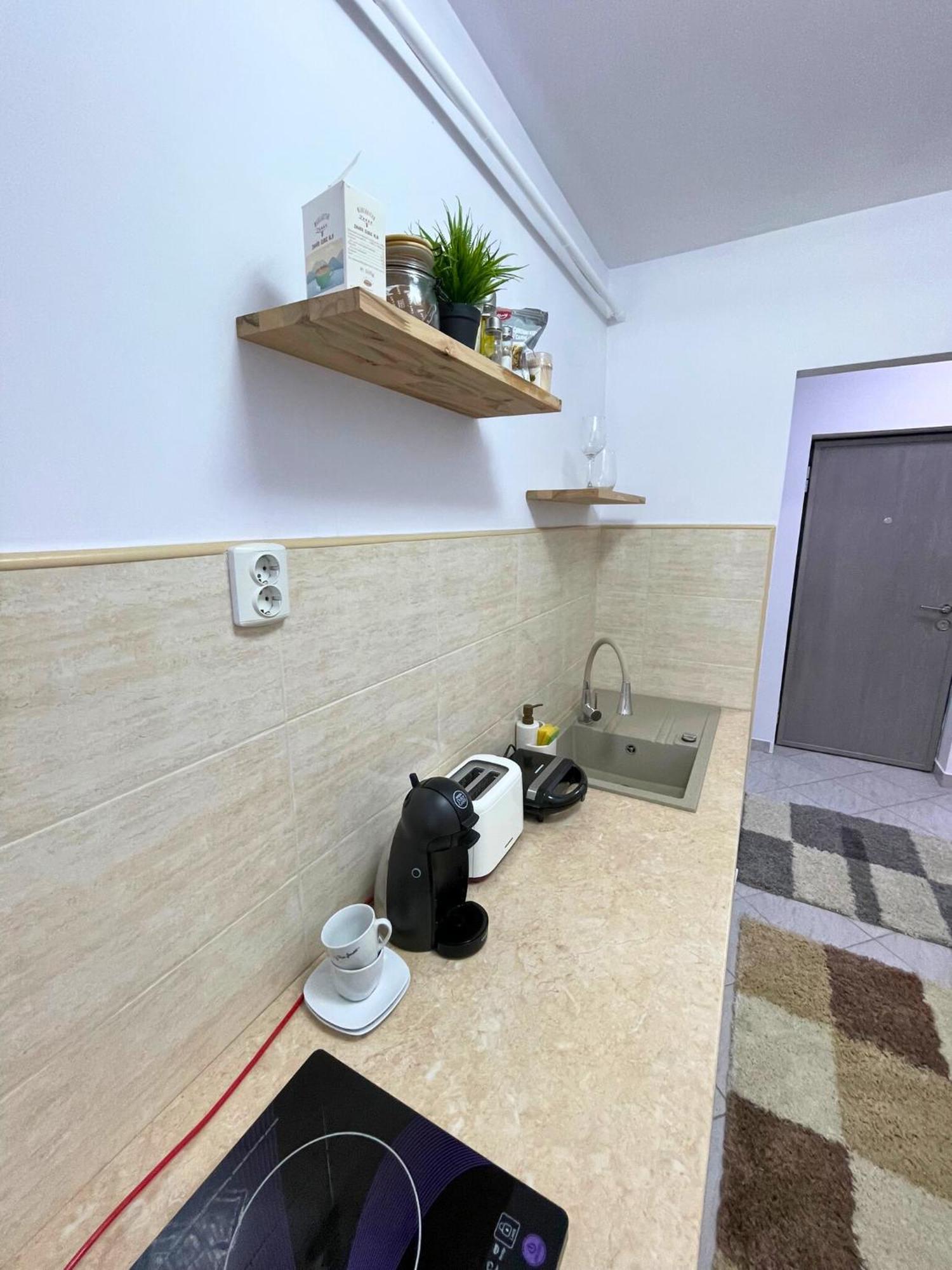 Apartament Fălticeni エクステリア 写真